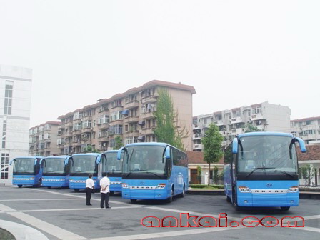 20086189515312