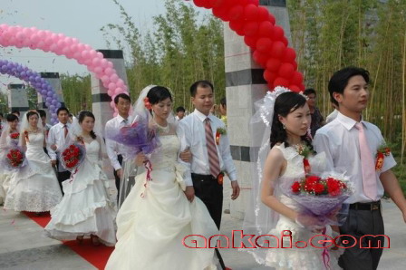 2008530163617511