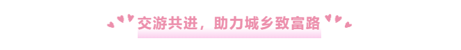 QQ图片20240819081359.png